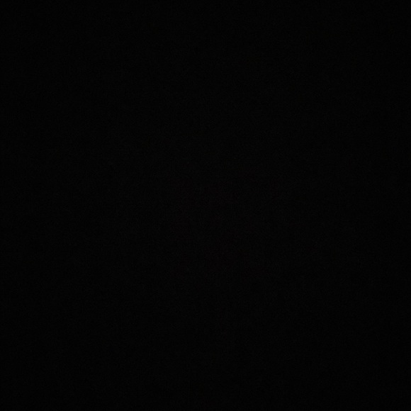 NWT Eileen Fisher Velvet Tank - Picture 2 of 5